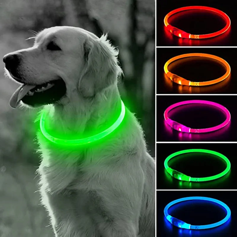 Super Led Dog Collar Luminous