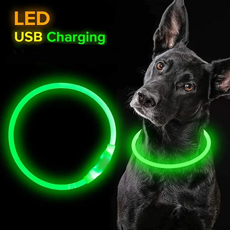 Super Led Dog Collar Luminous