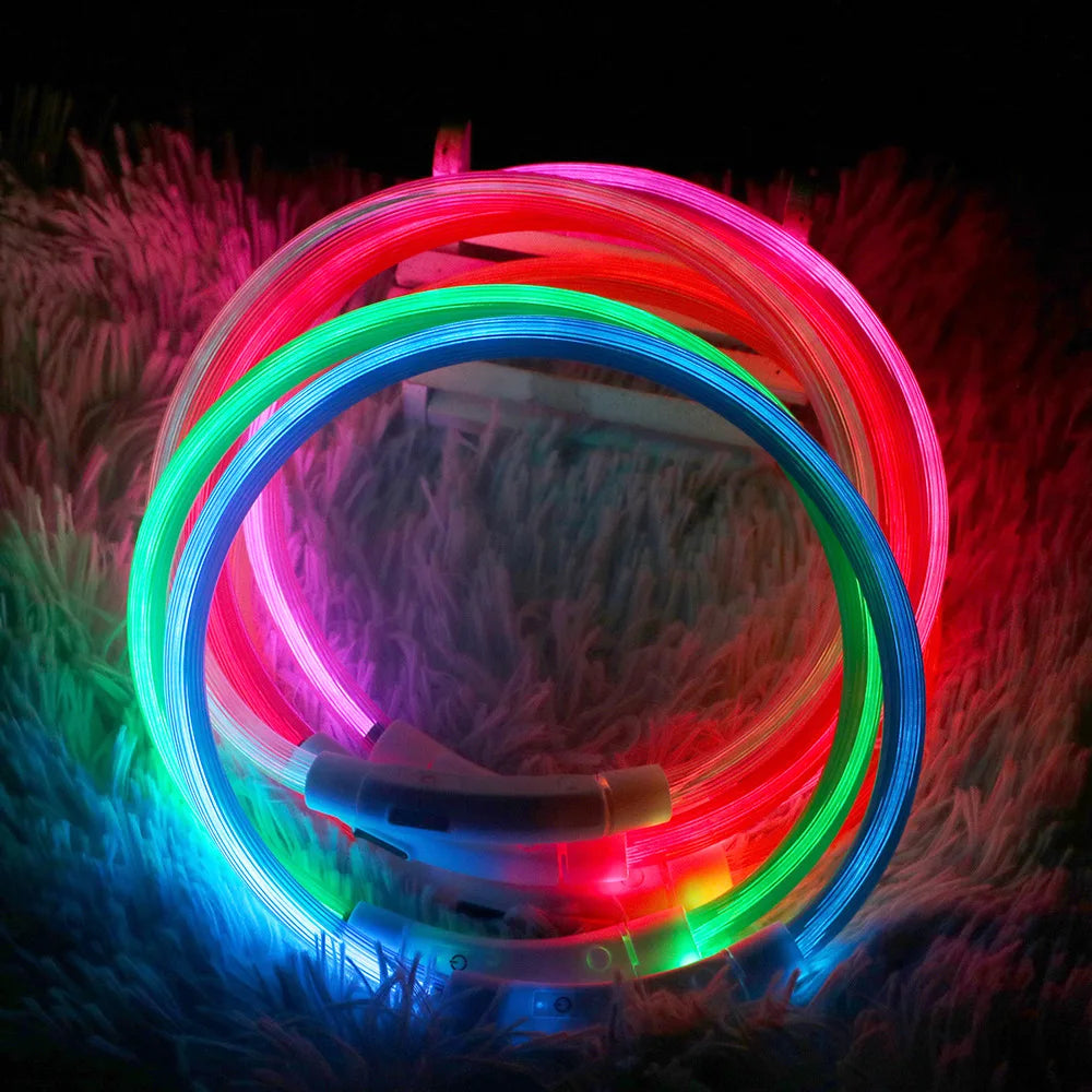 Super Led Dog Collar Luminous